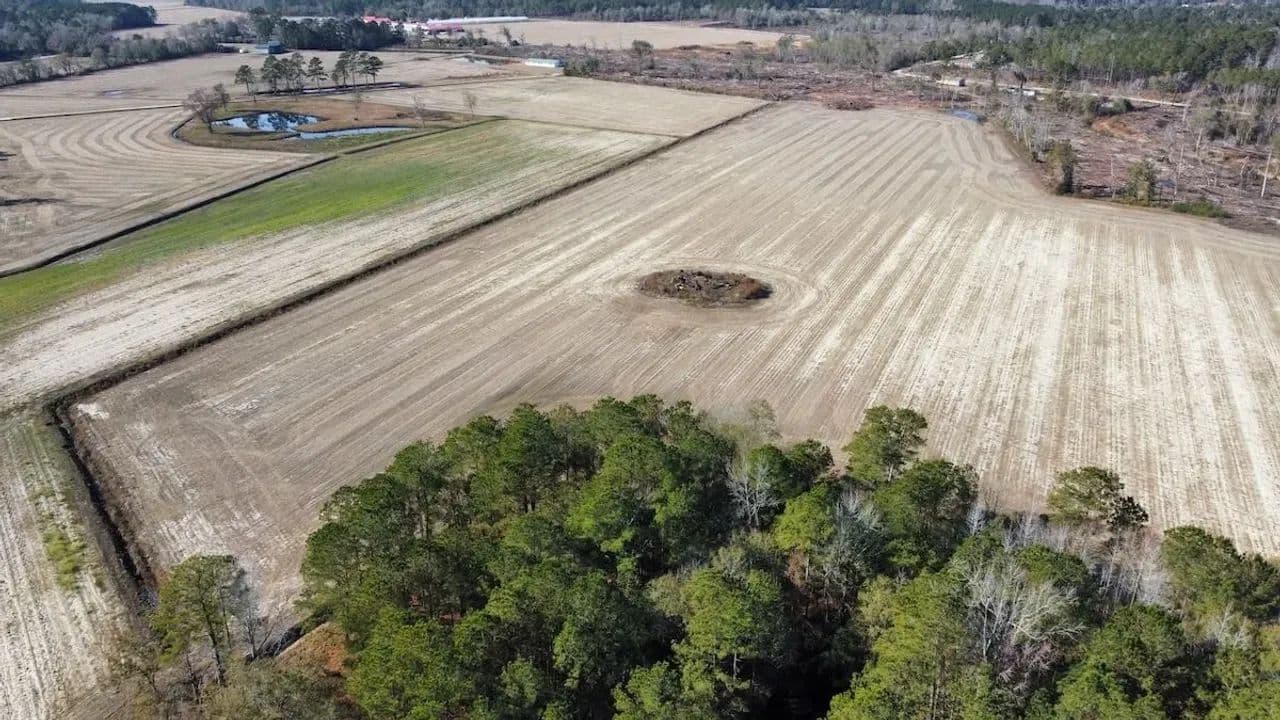 35.65 acres of Farm Land For Sale in Horry County, SC! - Nichols, South Carolina, 29581