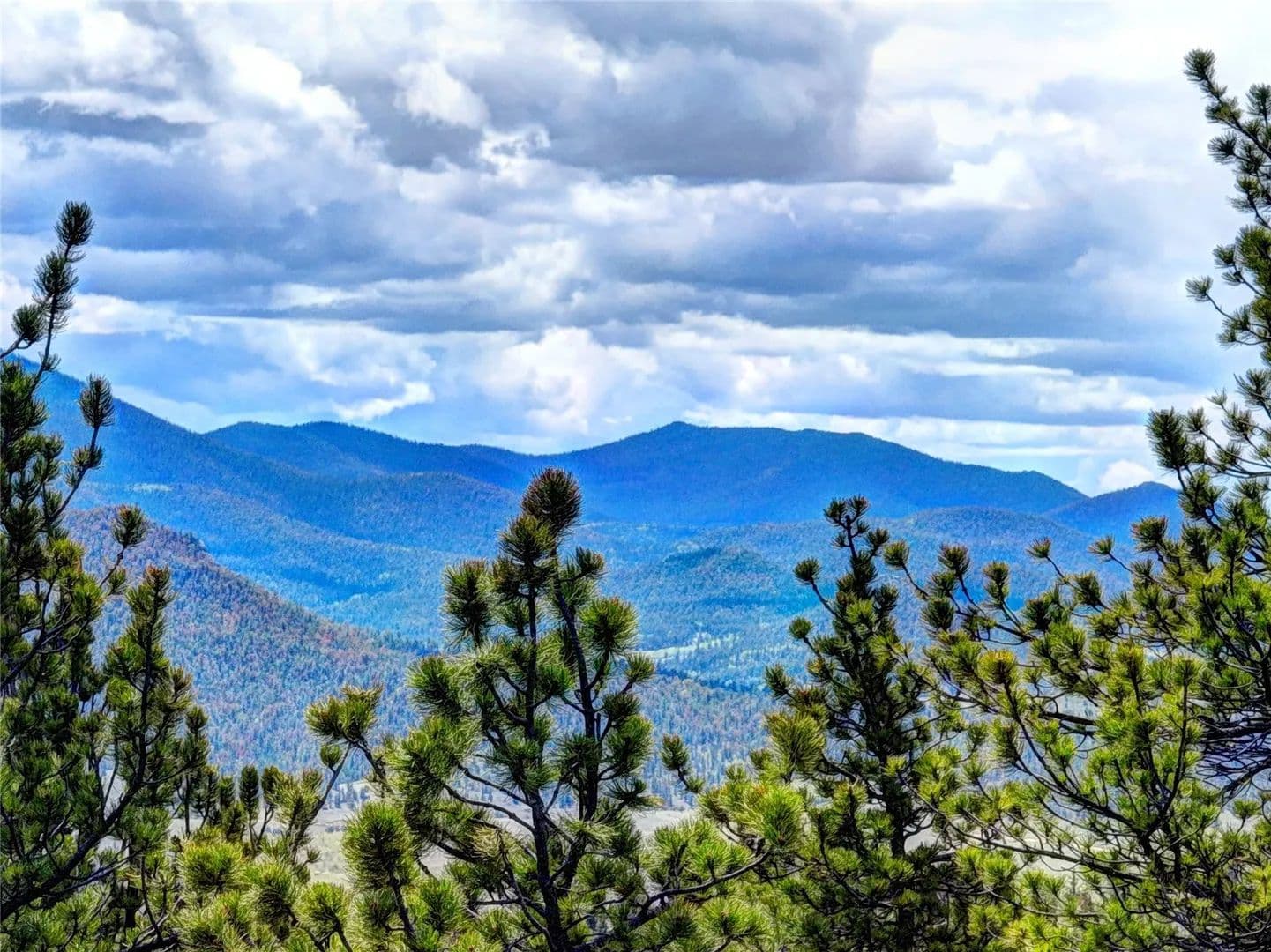 2.5 Acres of Land for Sale in Jefferson, Colorado - Jefferson, Colorado, 80456