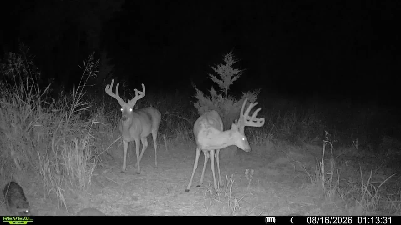 Junk Yard Bucks – Whitetail & Upland Hunting, Farm Ground, CRP & Minerals | 154.5± Acres | Grant County, OK - Wakita, Oklahoma, 73771