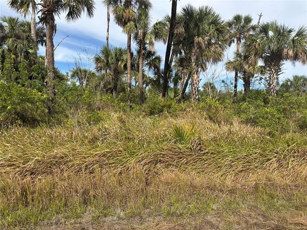 Vacant Land in North Port - North Port, Florida, 34286