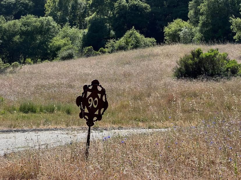 Vacant Land in Carmel