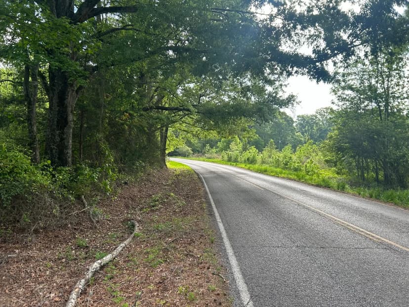 34.6 Acres in Neshoba County, MS 