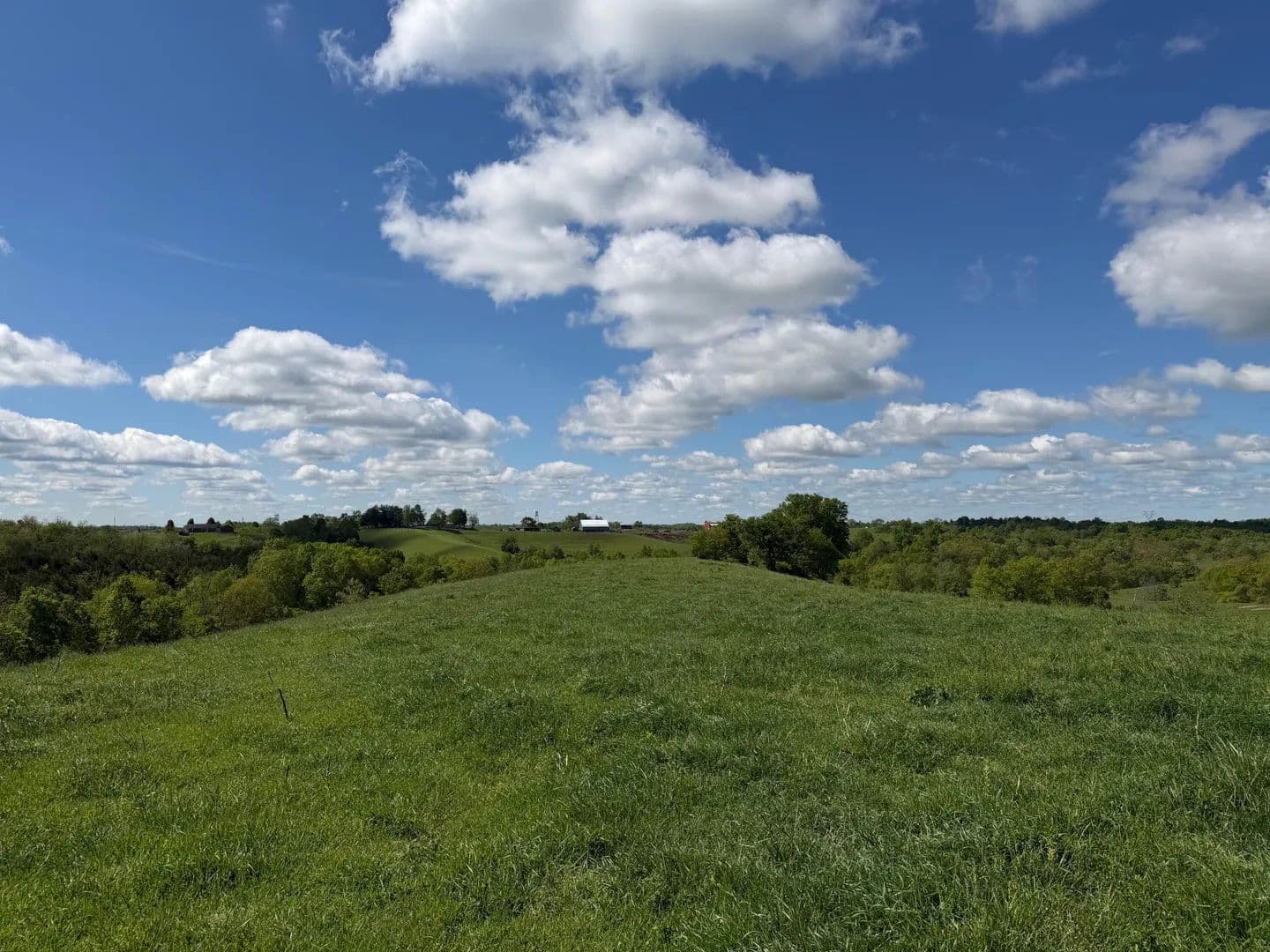 Vacant Land in Williamstown - Williamstown, Kentucky, 41097