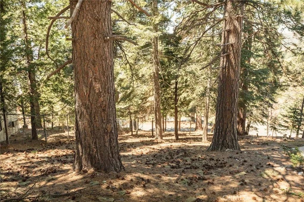 Vacant Land in Running Springs - Running Springs, California, 92382