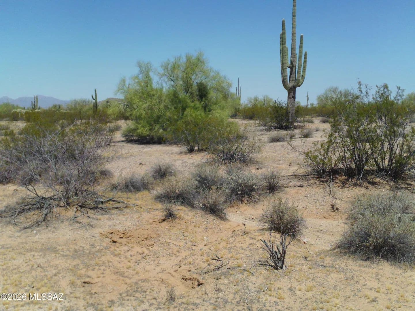Vacant Land in Marana - Marana, Arizona, 85658