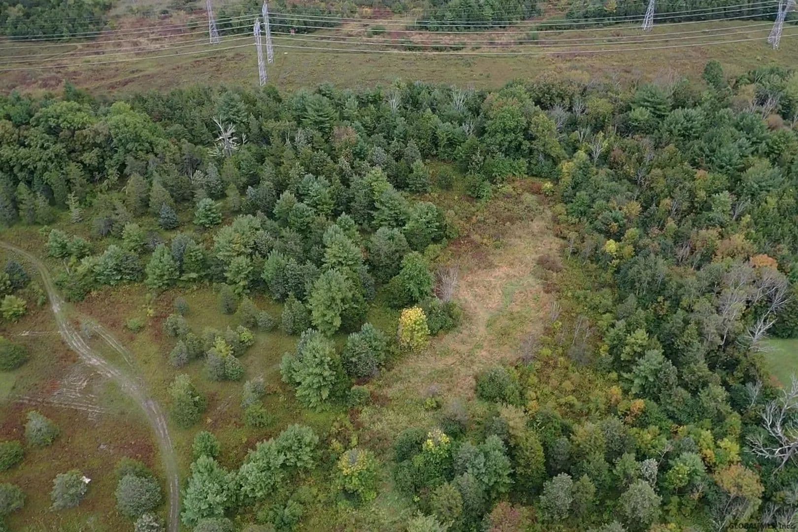 12.01 Acres of Land for Sale in Athens, New York - Athens, New York, 12015