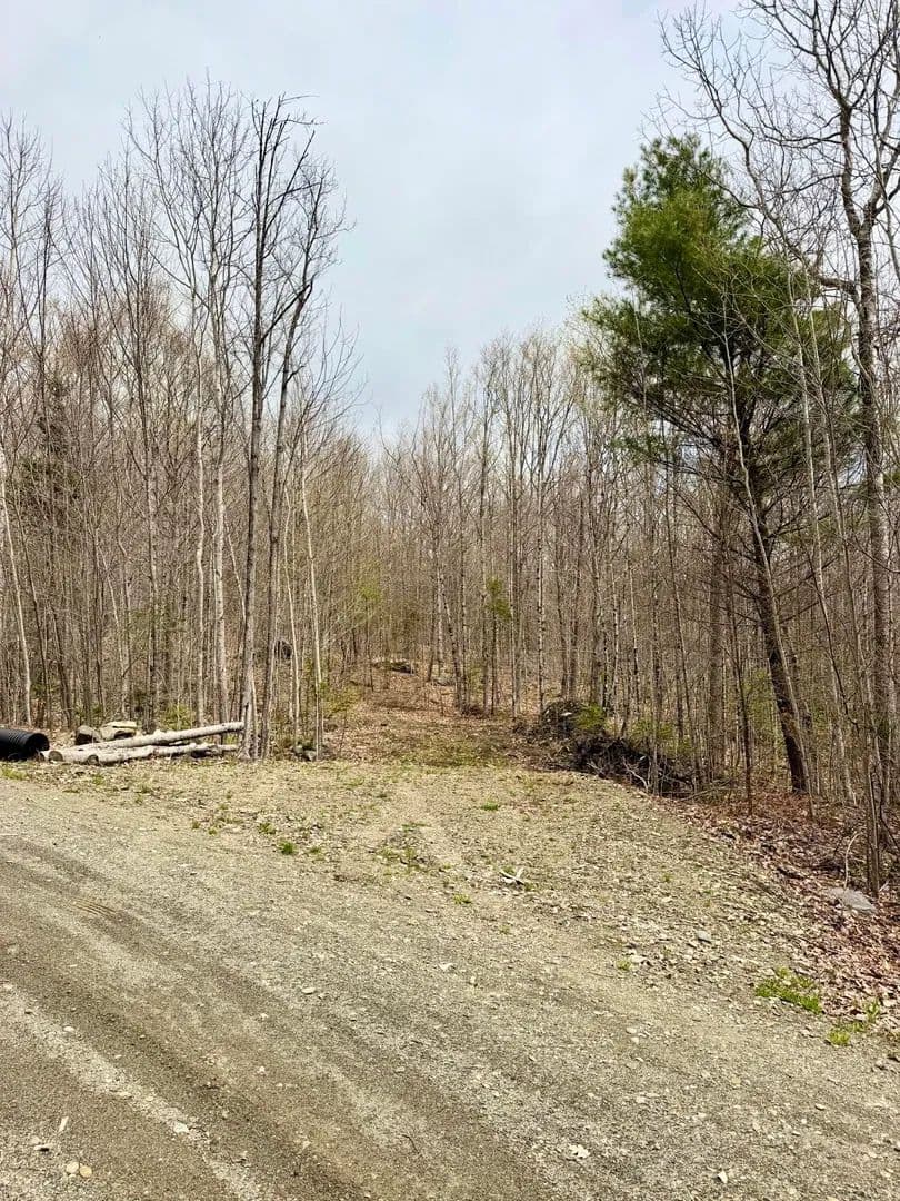 Vacant Land in Phillips - Phillips, Maine, 04966