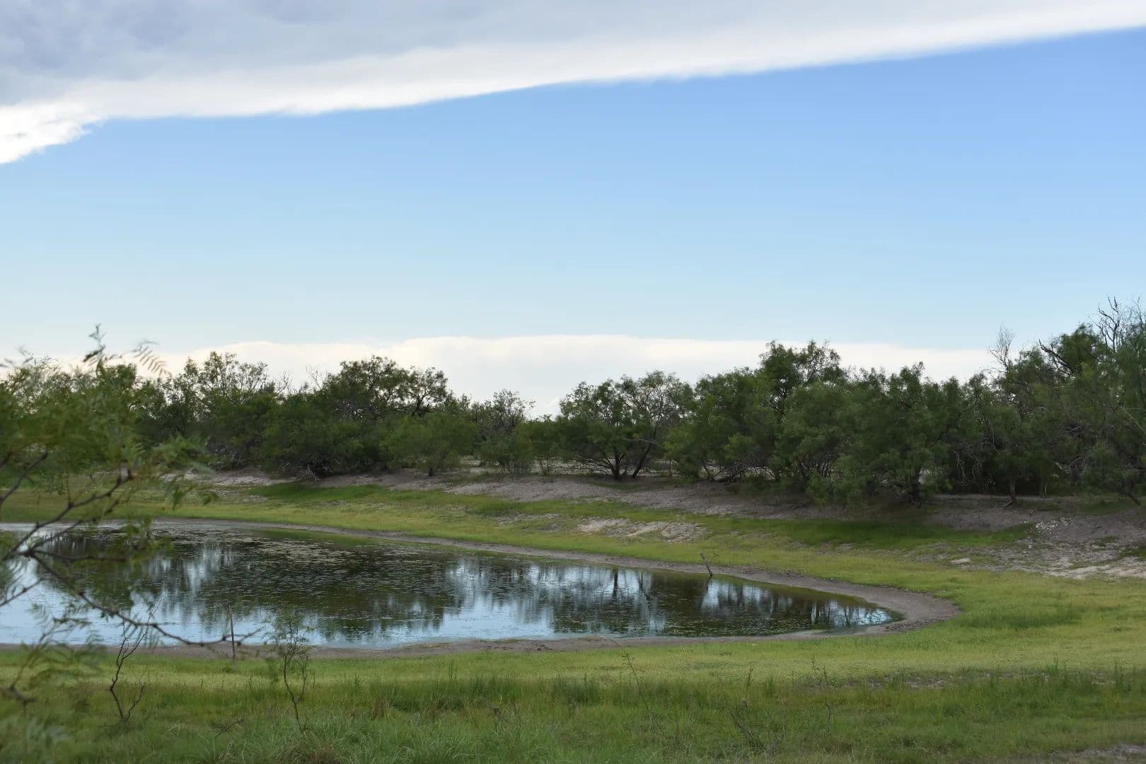 2257 Acres Riddle Ranch - , Texas, 78832