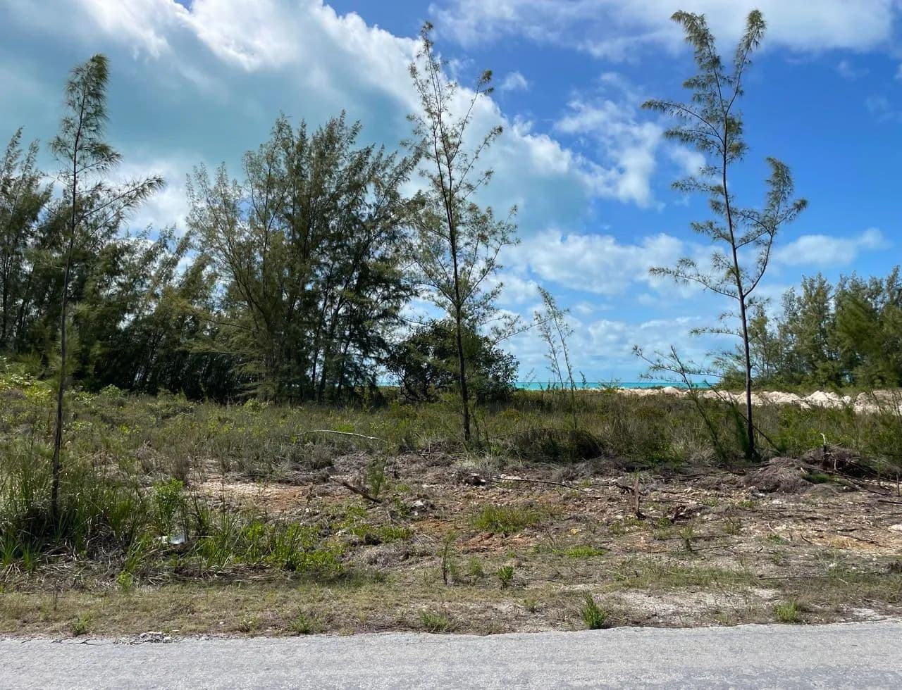 Vacant Land in Current, Eleuthera - land for sale