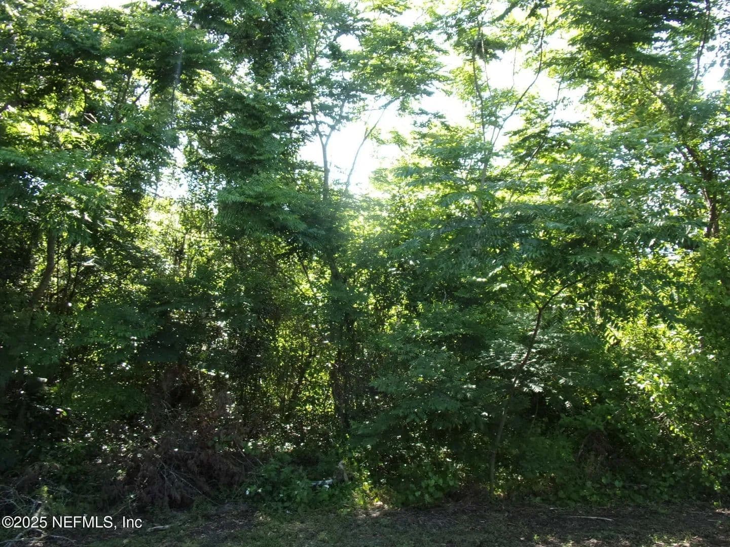 Lots & Land-Other in Palatka - Palatka, Florida, 32177