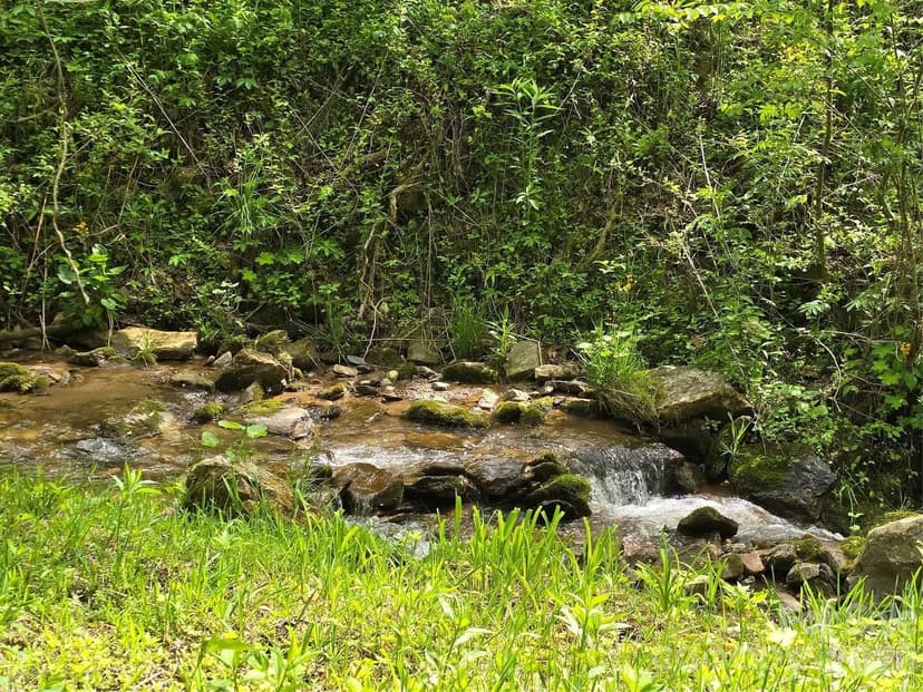 Property from 99999 Roaring Fork Road - KW
