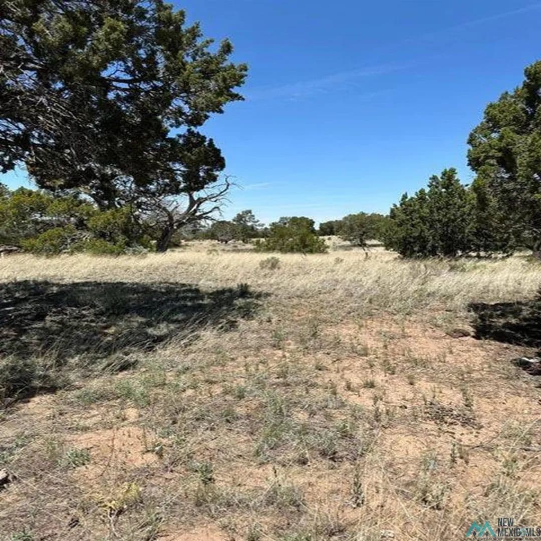 Property from 662 State Route 603 - KW - Pie Town, New Mexico, 87827