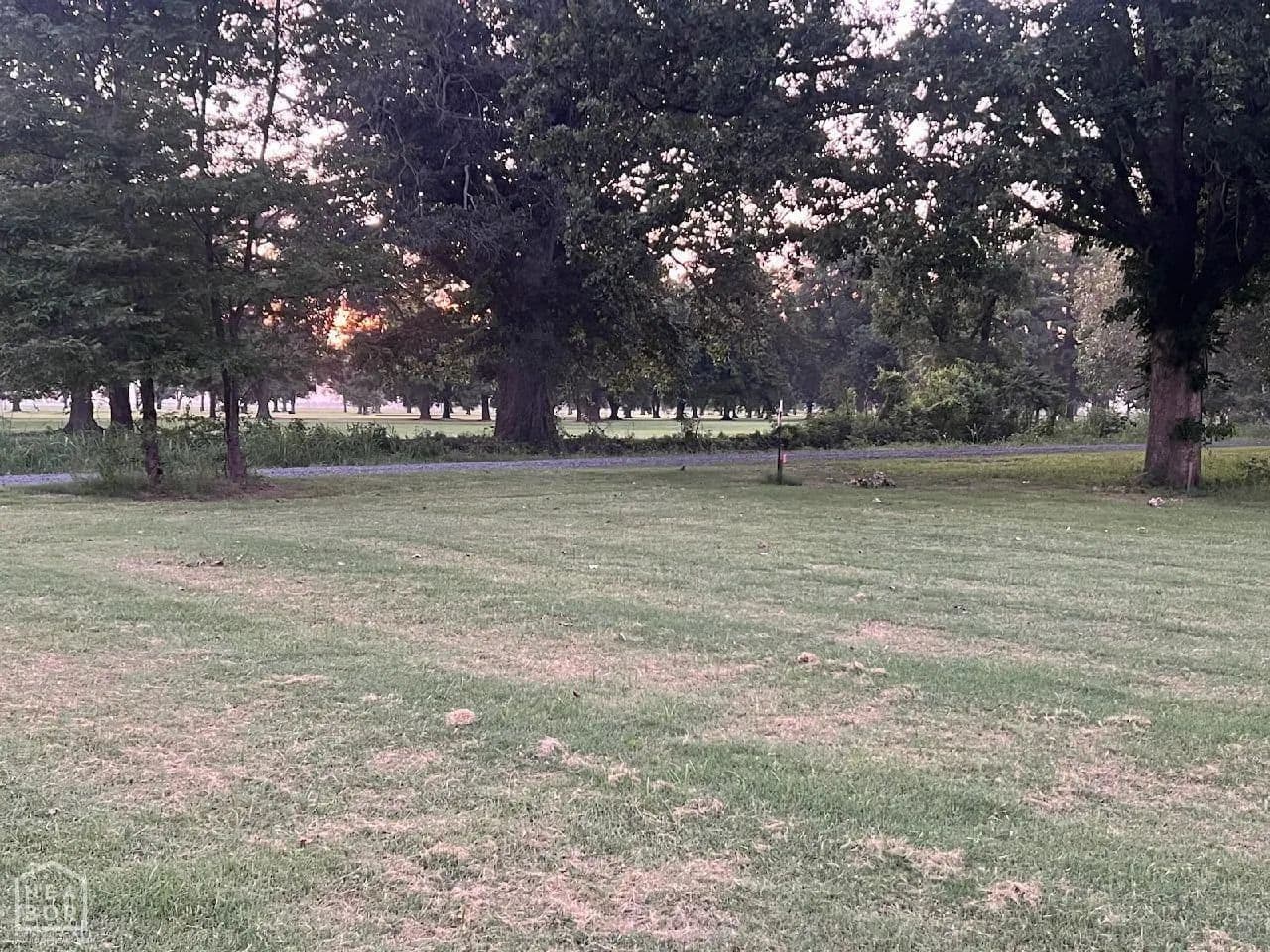 Lots & Land-Other in Manila - Manila, Arkansas, 72442