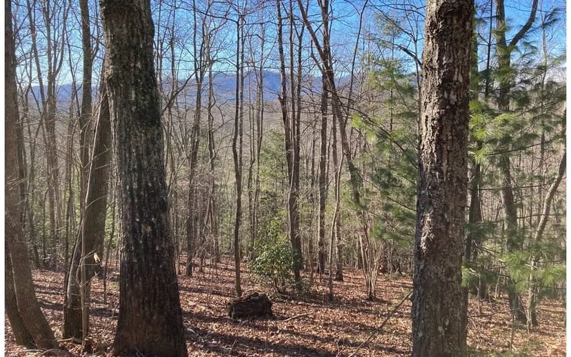 Lots & Land-Other in Murphy