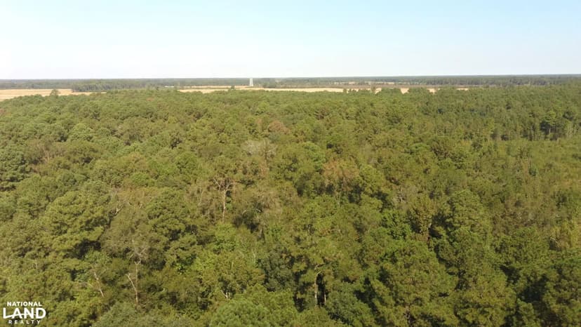 Raynham Farmland/Timber