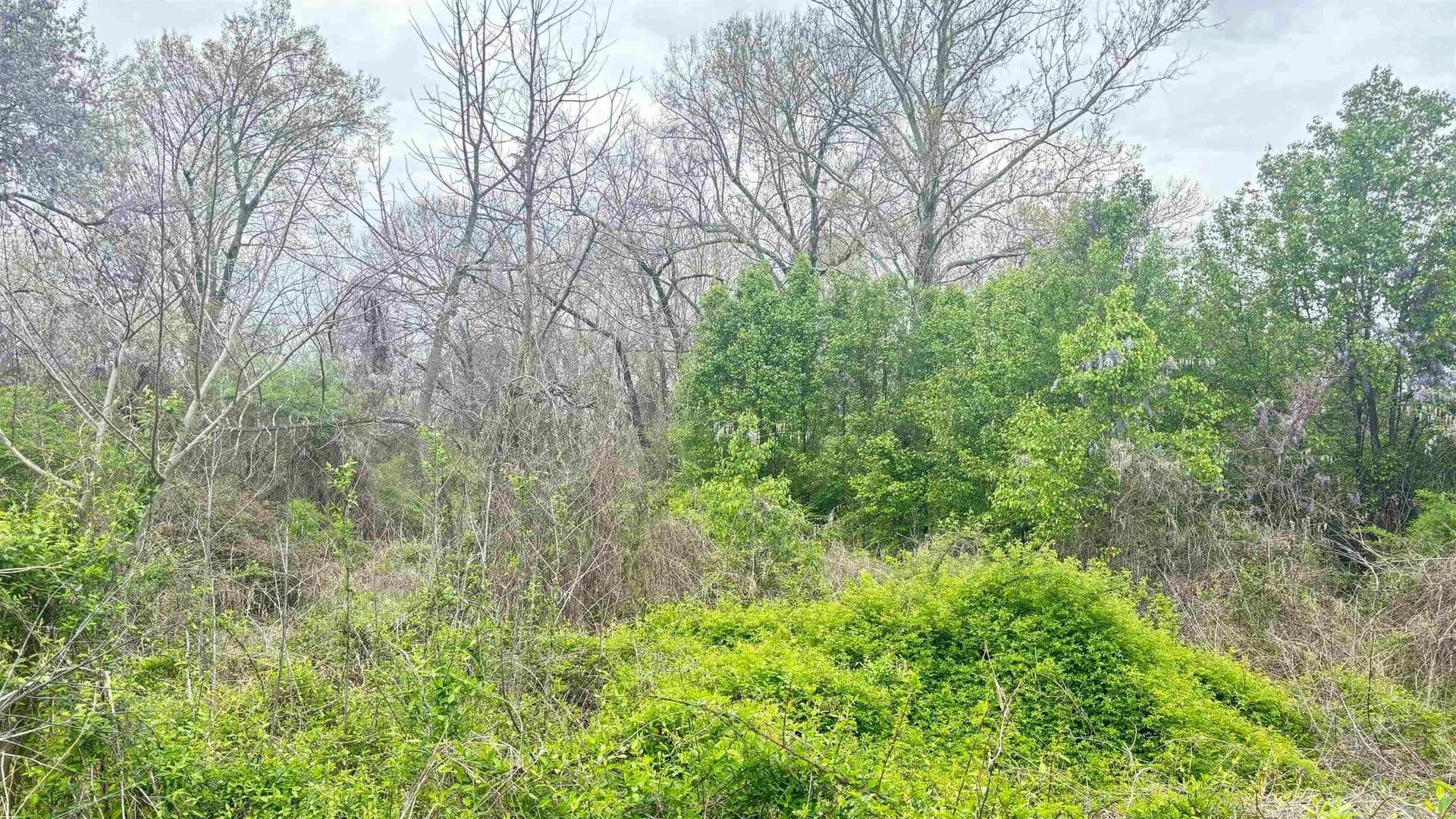 Lots & Land-Other in Little Rock - Little Rock, Arkansas, 72205