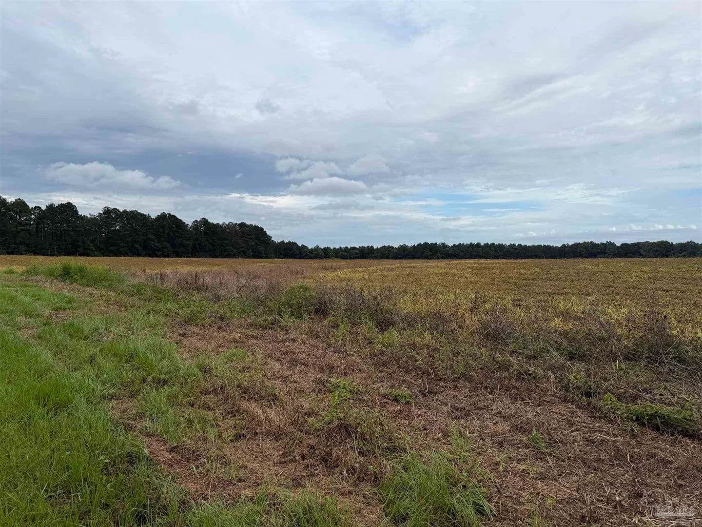 157.8 Acres of Land for Sale in Century, FL - Century, Florida, 32535