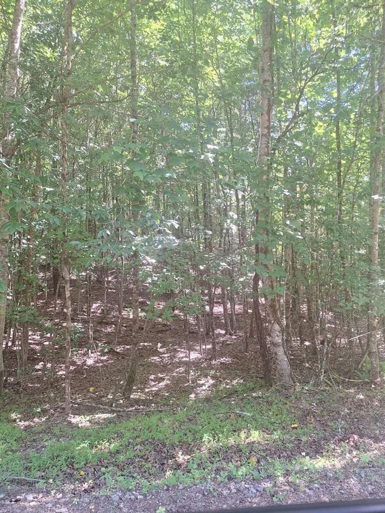 2.25 Acres of Land for Sale in Morganton, GA - Morganton, Georgia, 30560