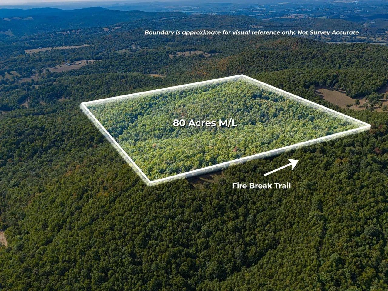 * 80± AC Ozark Hunting Land | Marion County - Flippin, Arkansas, 72634