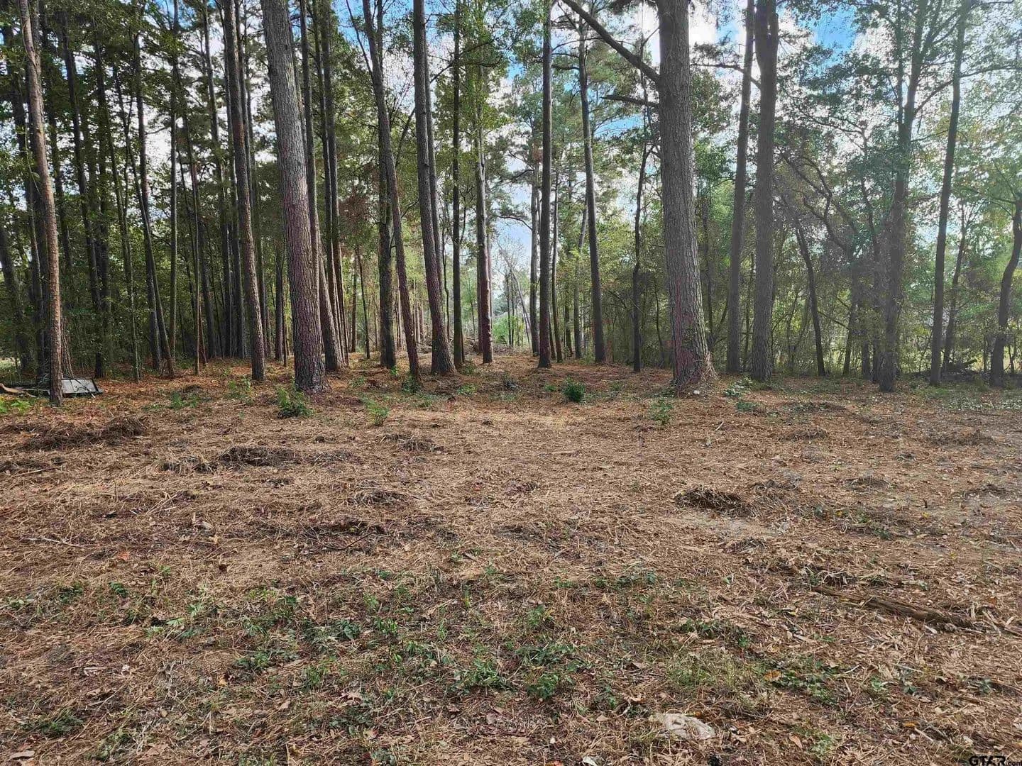 Lots & Land-Other in Pittsburg - Pittsburg, Texas, 75686
