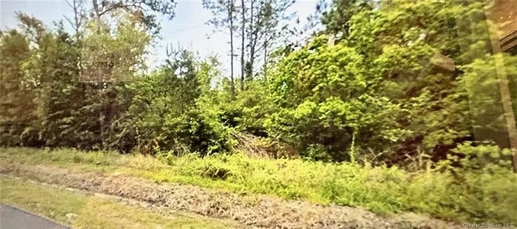 Vacant Land in Ragley - Ragley, Louisiana, 70657