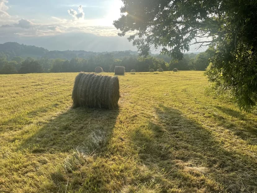 Property from 0 Agnew Rd - KW