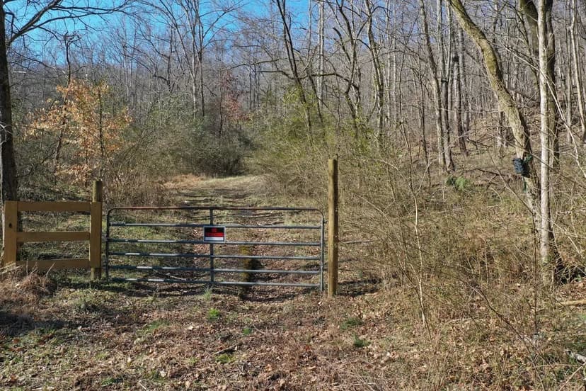 28.63 Unrestricted Recreational Tract Just Minutes From Down Town Mount Pleasant, TN
