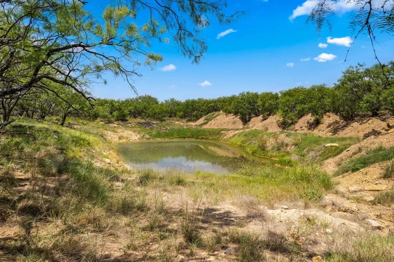 HAM - BALL RANCH -200 ACRES - SOUTH - Clyde, Texas, 79510
