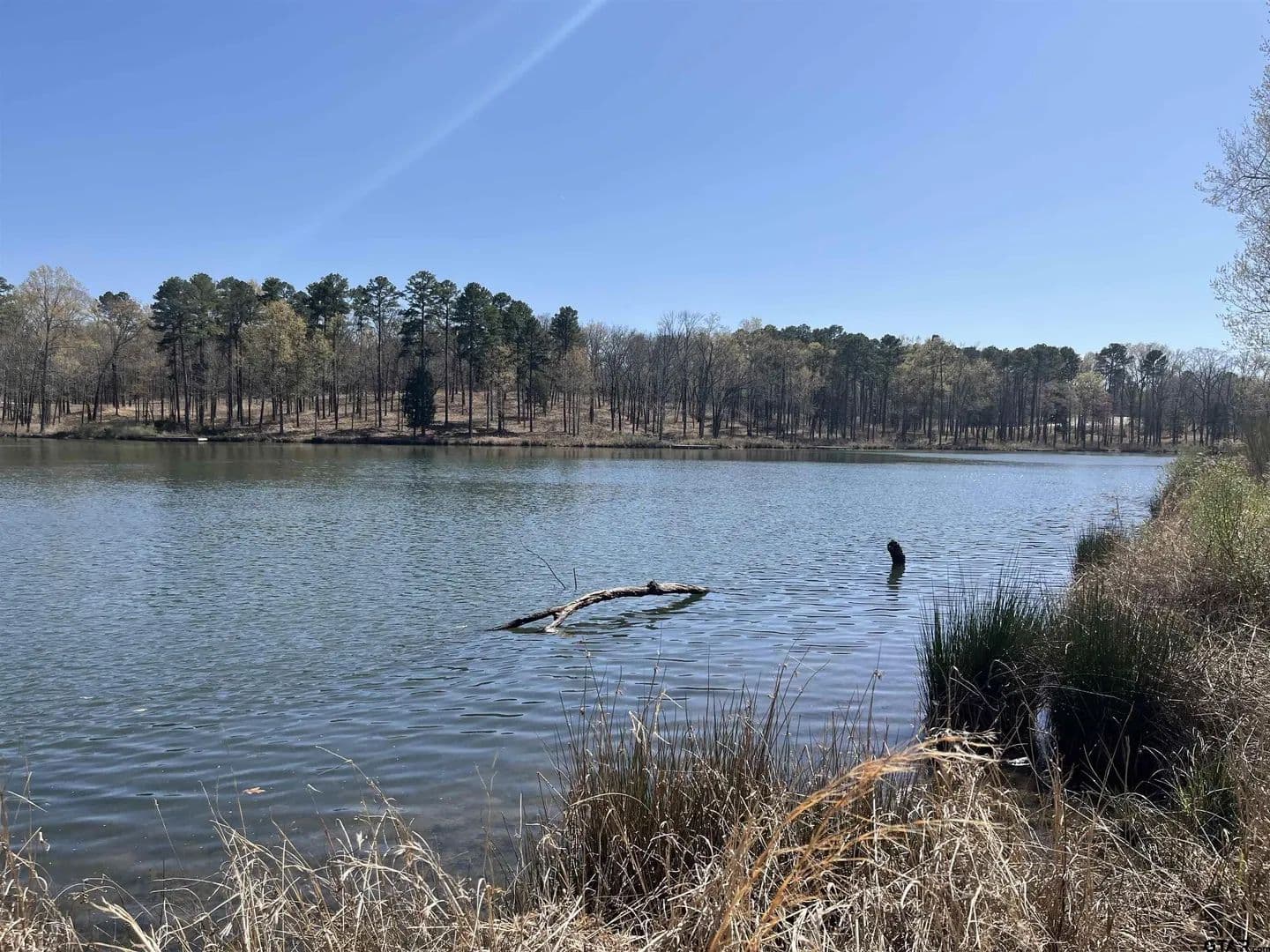 Lots & Land-Other in Pittsburg - Pittsburg, Texas, 75686