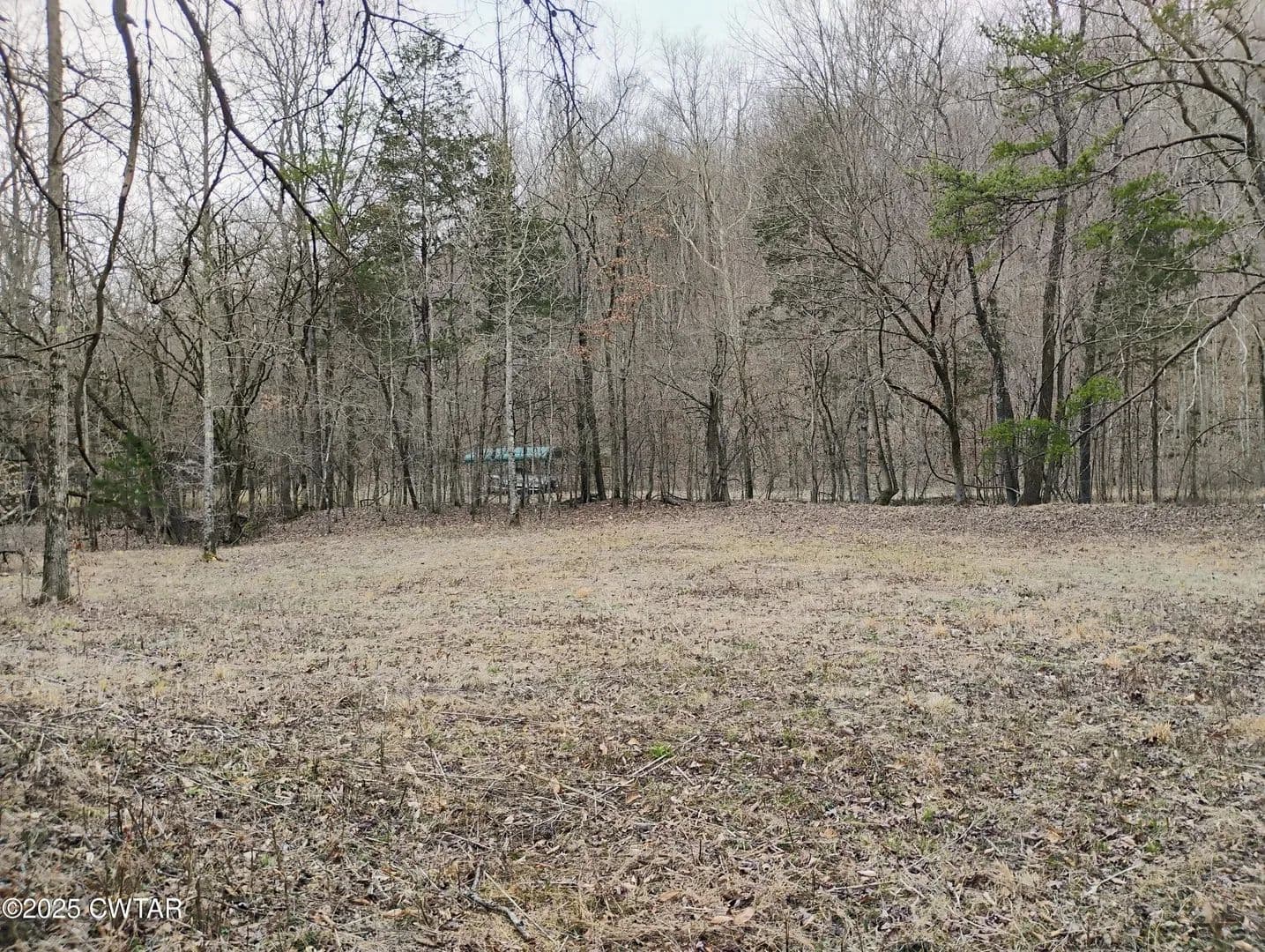 Lots & Land-Other in Clifton - Clifton, Tennessee, 38425