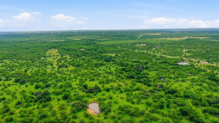 115+/-Acres FM 880 Moran, TX 76464