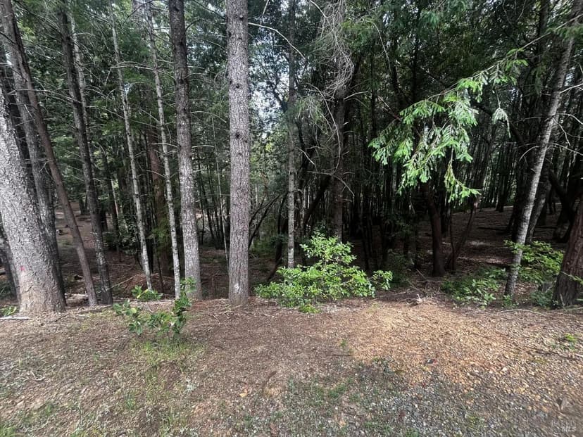 Lots & Land-Other in Willits