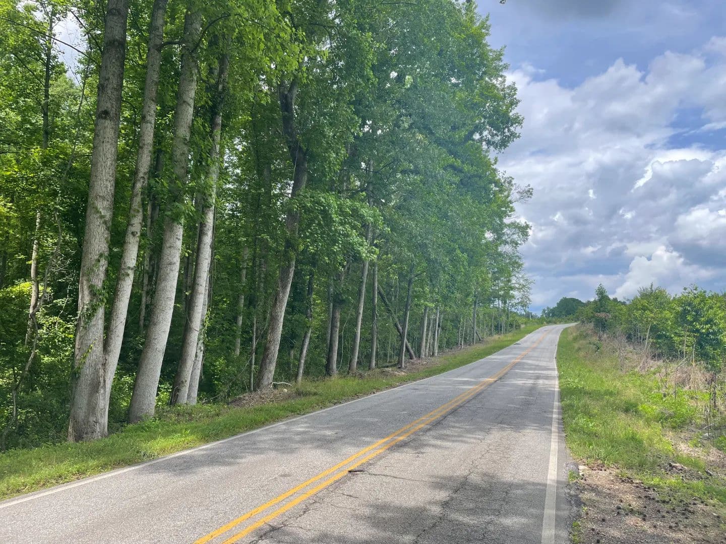 +/-31.00 acres – 156 Zion School Road Easley, SC 29642 - Easley, South Carolina, 29642