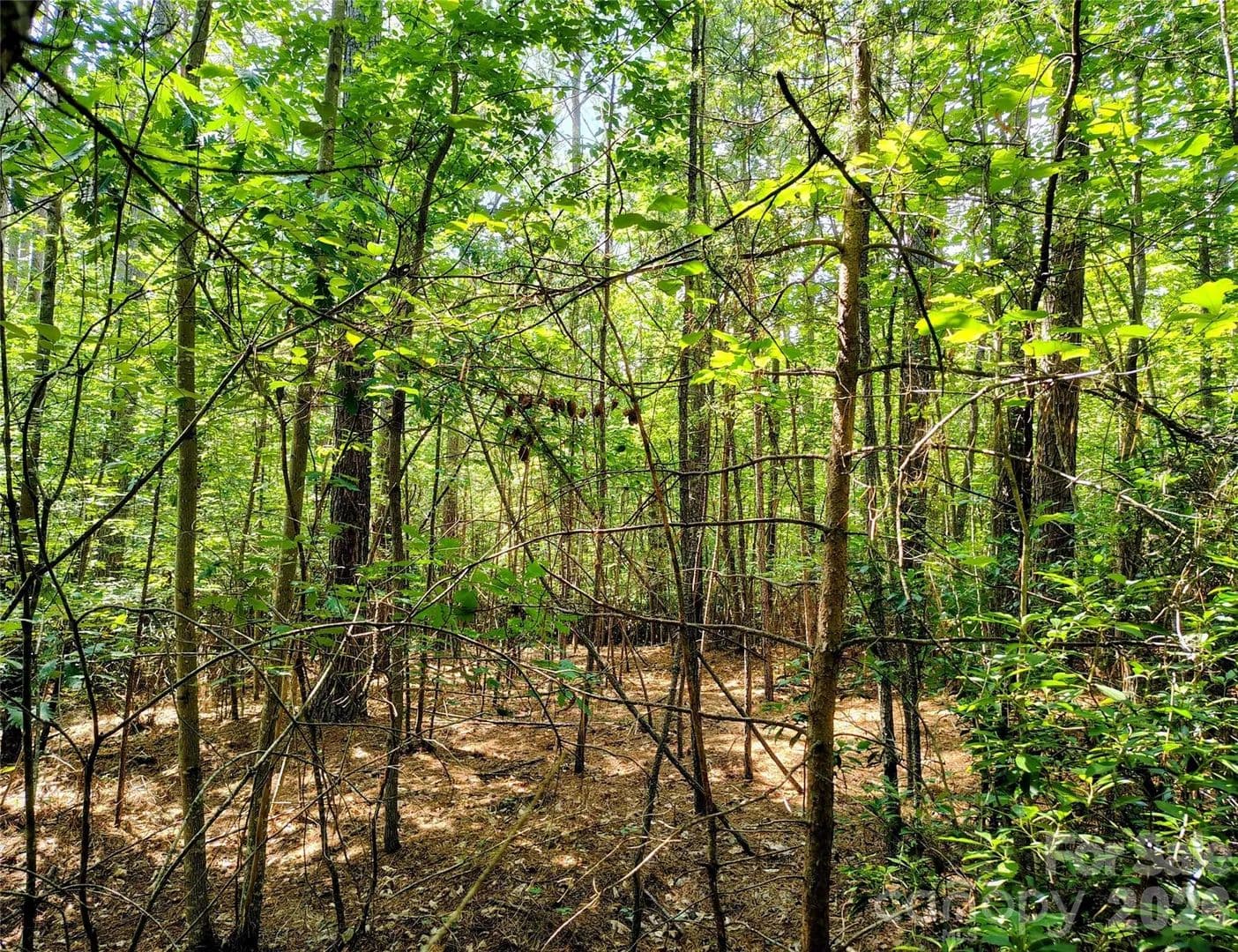 Property from 210 Harbor Ridge Drive - KW - Connelly Springs, North Carolina, 28612