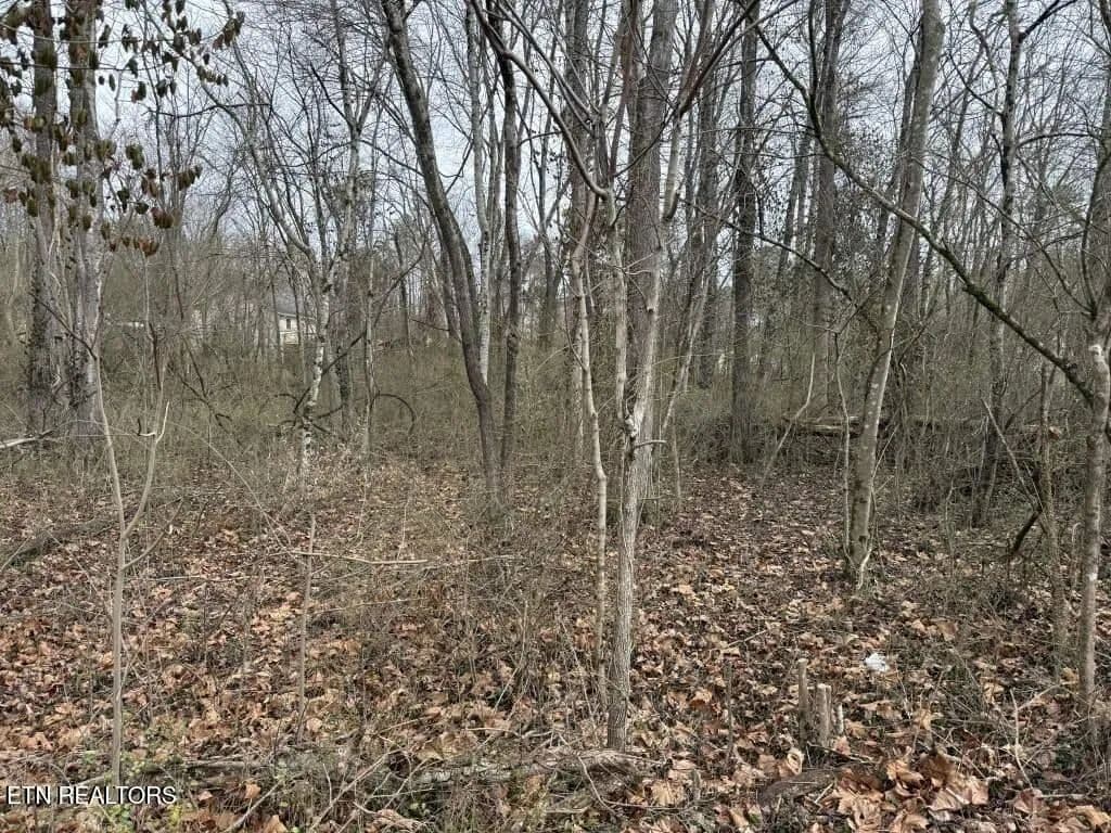Property from 164 Jodys Lane - KW - Rockwood, Tennessee, 37854