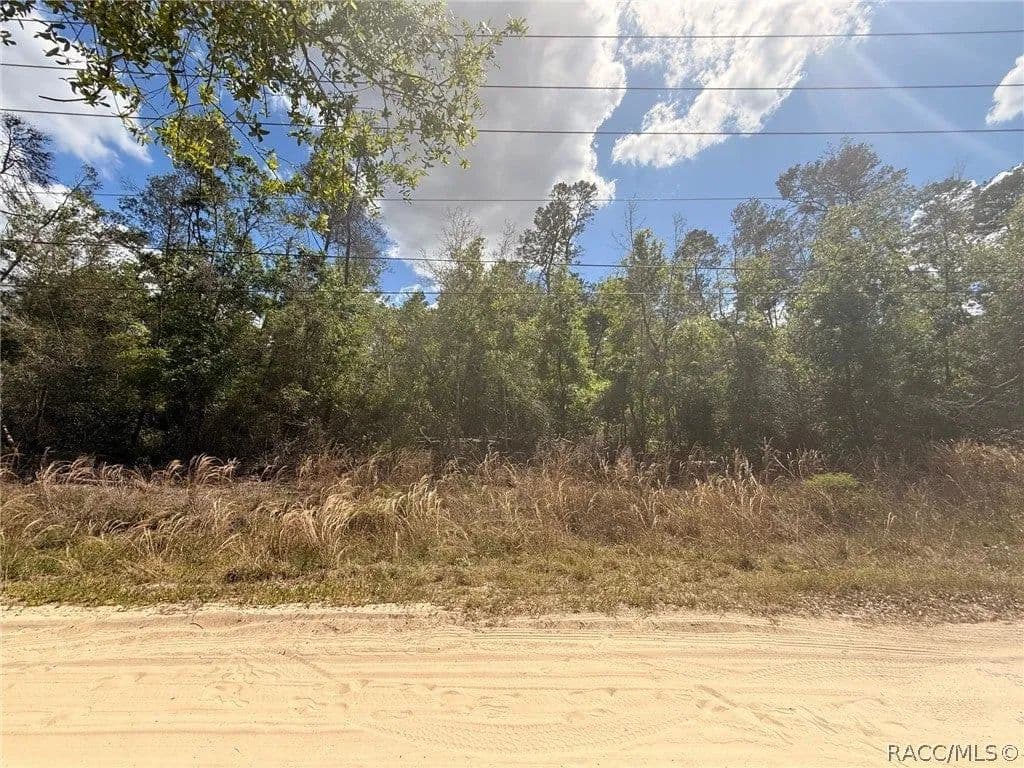 Lots & Land-Other in Inverness - Inverness, Florida, 34452