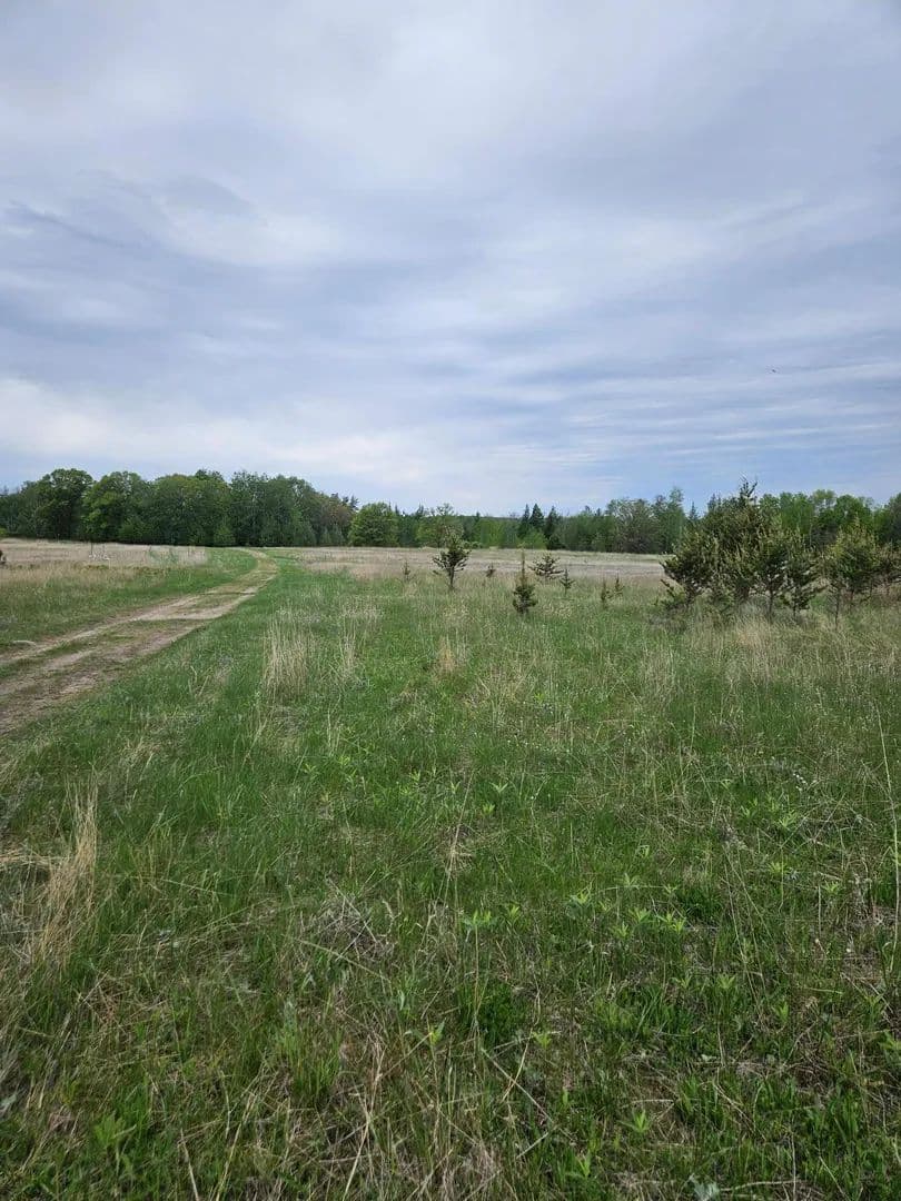 Property from tbd Pillager Creek Trail SW - KW