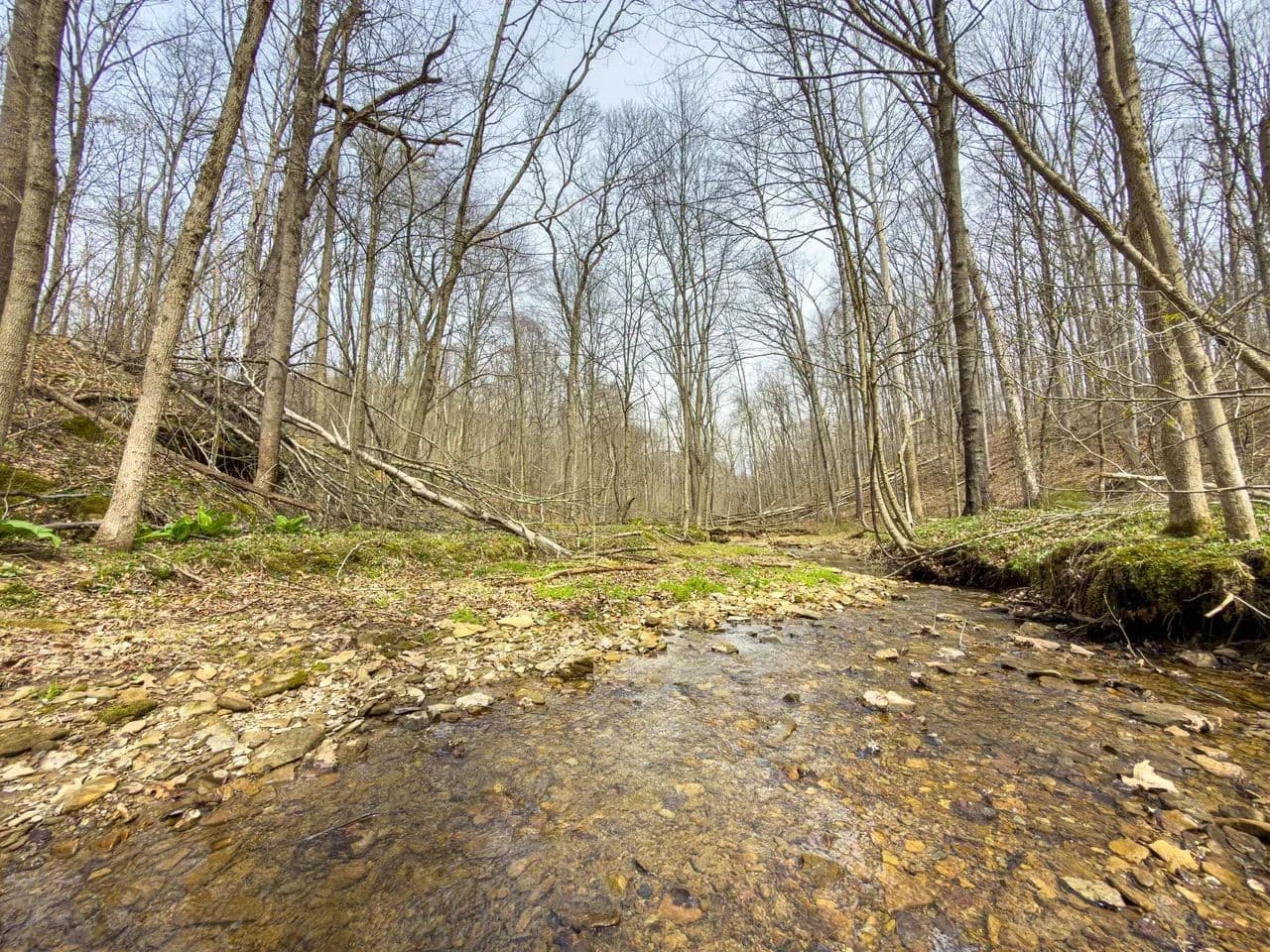140 Acres - St Rt 258 - Port Washington, Ohio, 43837