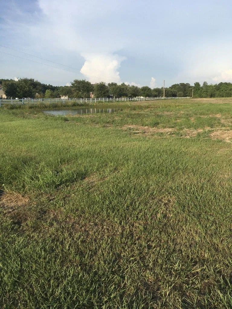 Vacant Land in Iowa - Iowa, Louisiana, 70647
