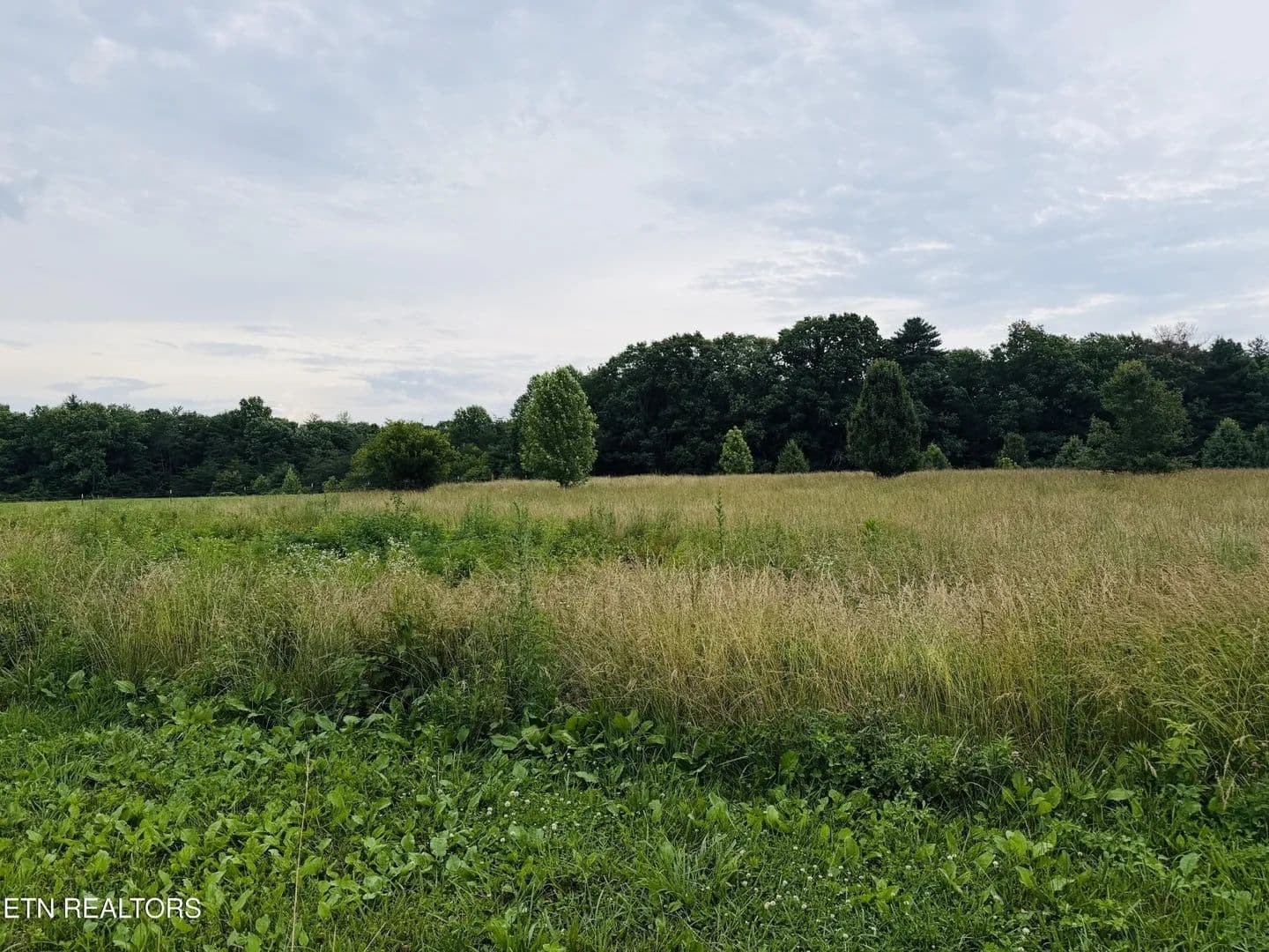 Property from 98 Tyler Tr - KW - Jamestown, Tennessee, 38556