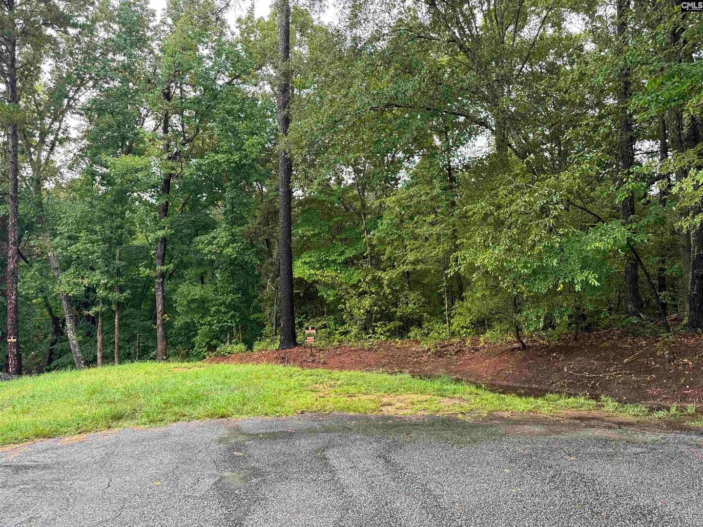 Vacant Land in Winnsboro - Winnsboro, South Carolina, 29180