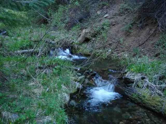 Vacant Land in Meadow Valley - Meadow Valley, California, 95656