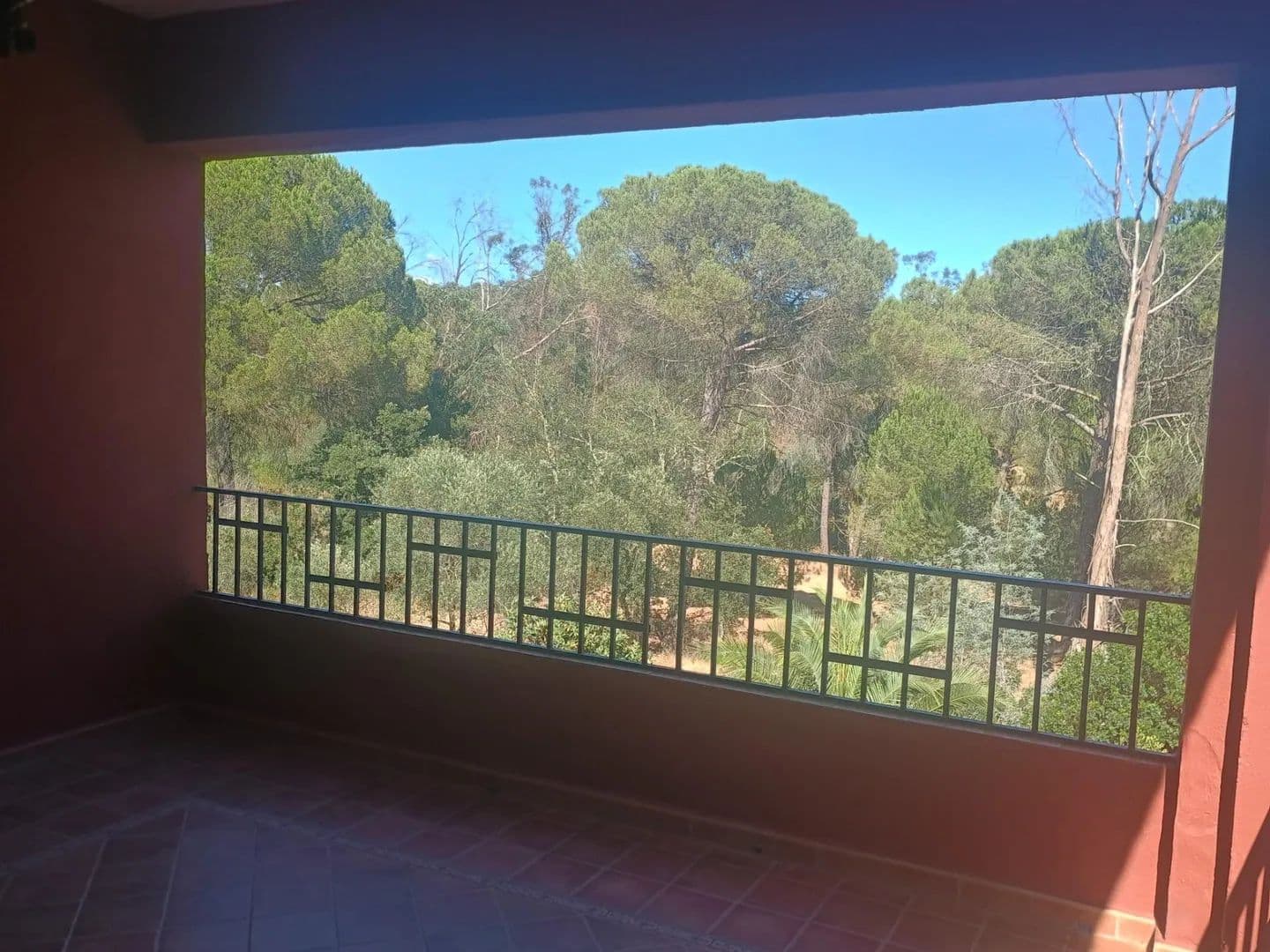 Land for Sale in Valverde del Camino, HUELVA - land for sale