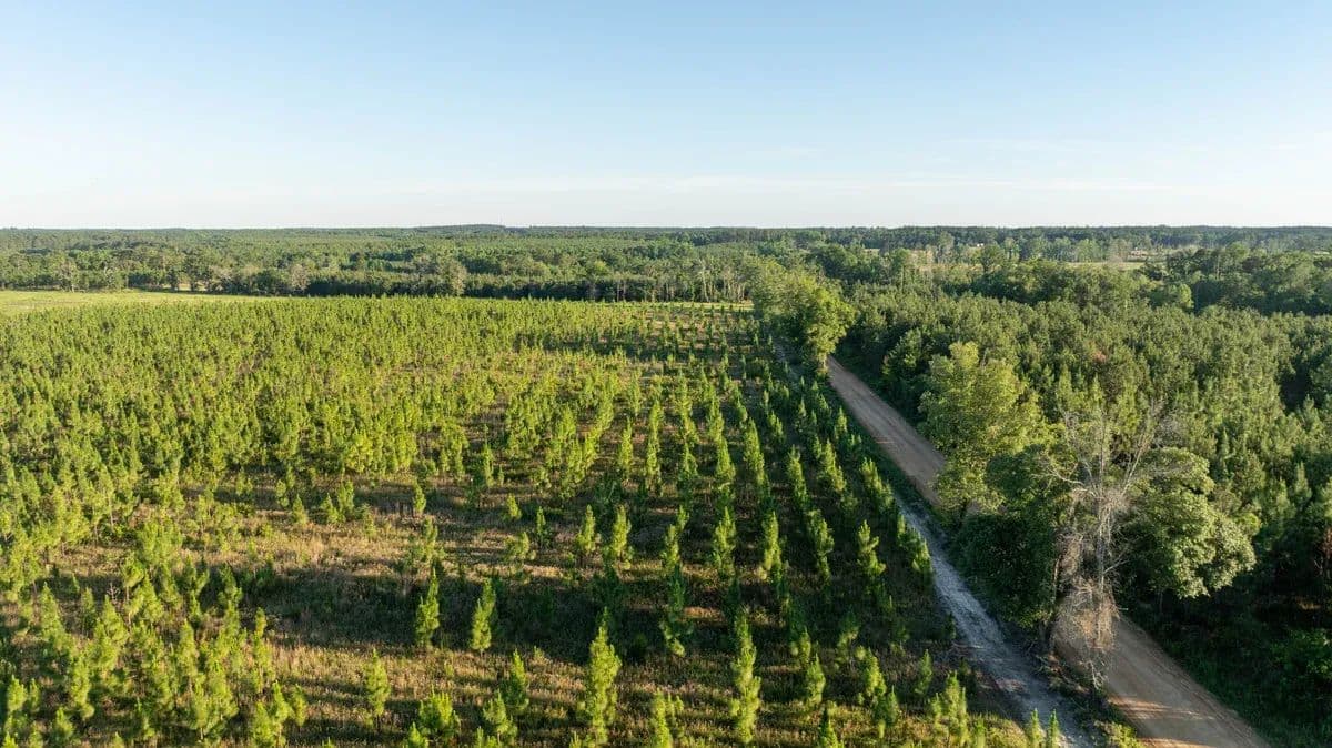 North Bluff Longleaf Farm - Sylvania, Georgia, 30467