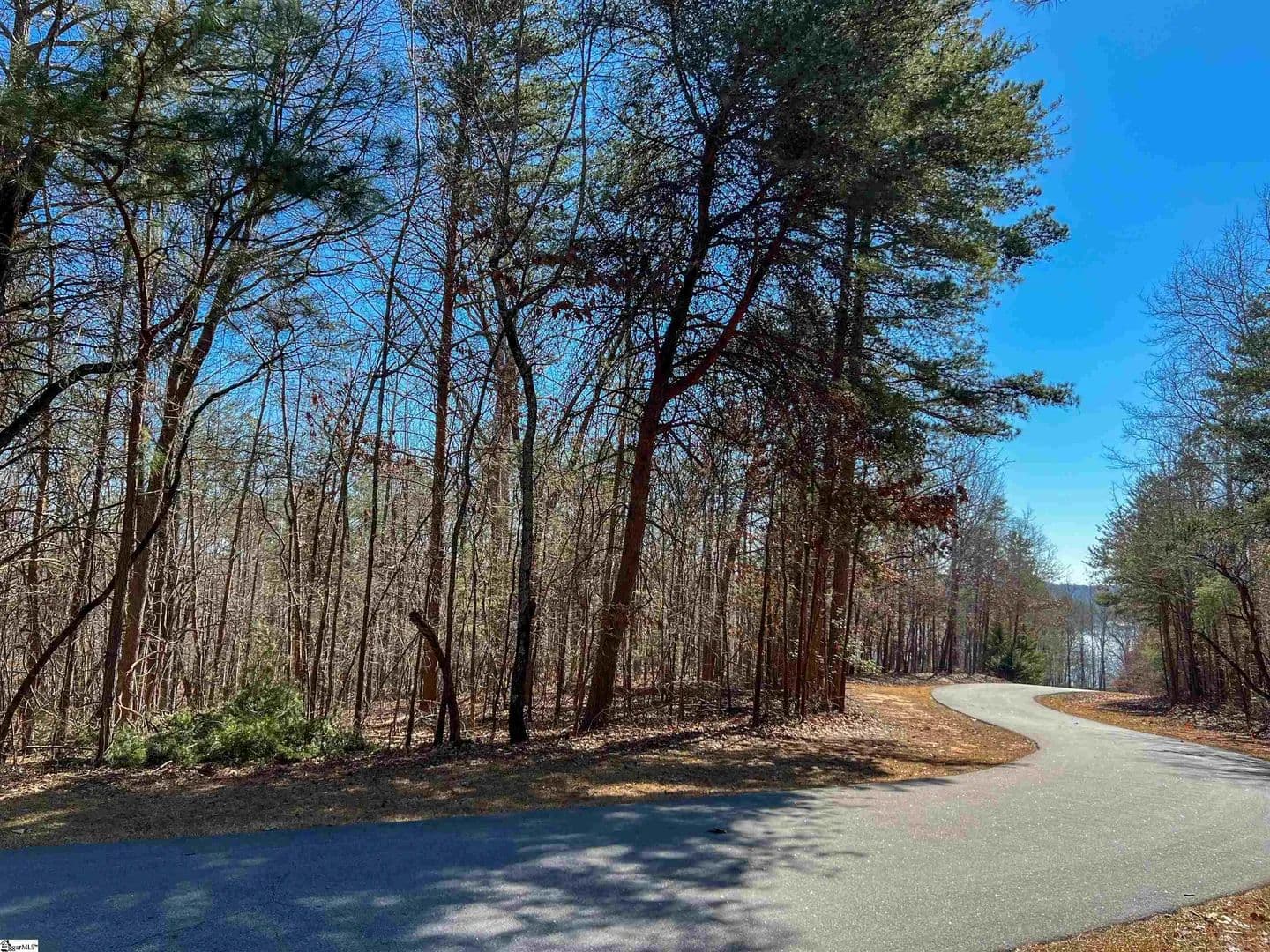Vacant Land in Fair Play - Fair Play, South Carolina, 29643