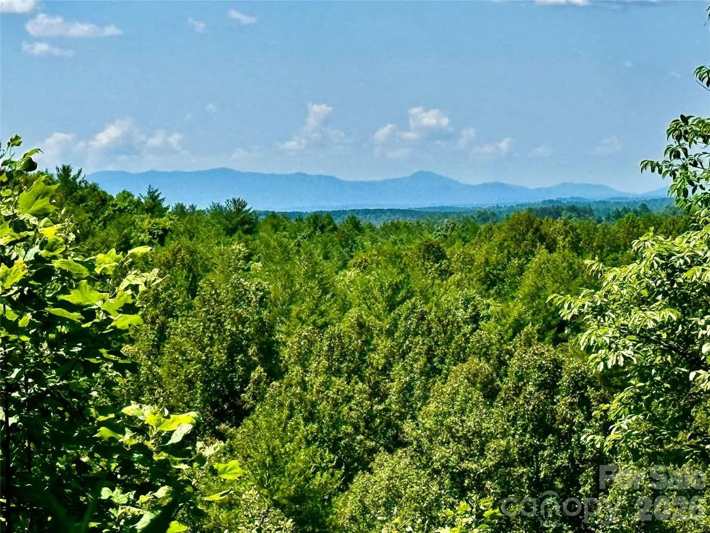 10 Acres of Land for Sale in Lenoir, NC - Lenoir, North Carolina, 28645
