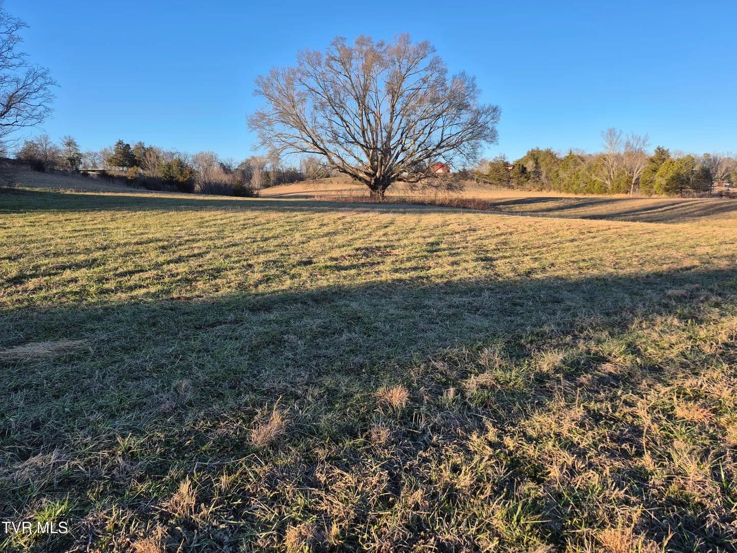 Vacant Land in Mosheim - Mosheim, Tennessee, 37818