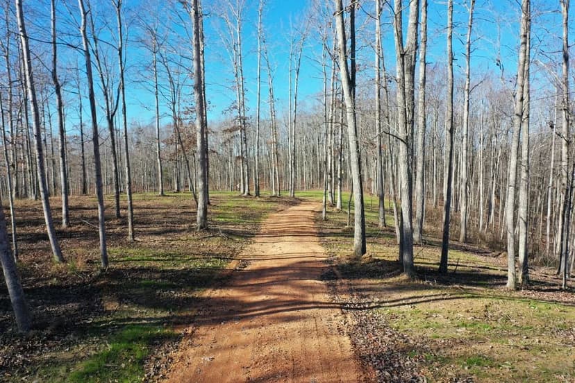 Beautiful Homesite with Acreage in Nunnelly, TN