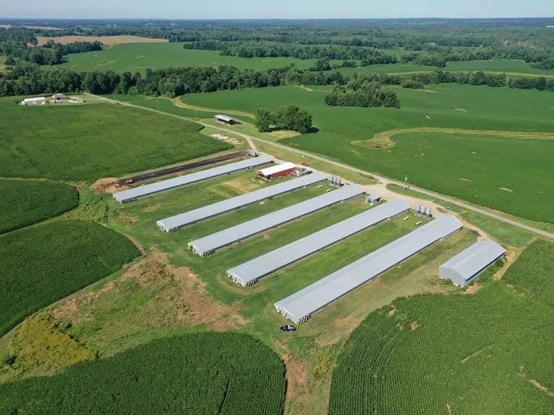 Green Valley Broiler Farm – Five House Farm in Hickman County, Kentucky - Clinton, Kentucky, 42031