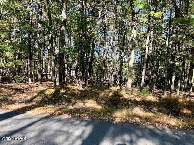 Vacant Land in Dingmans Ferry